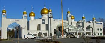 Uplift Mountain View